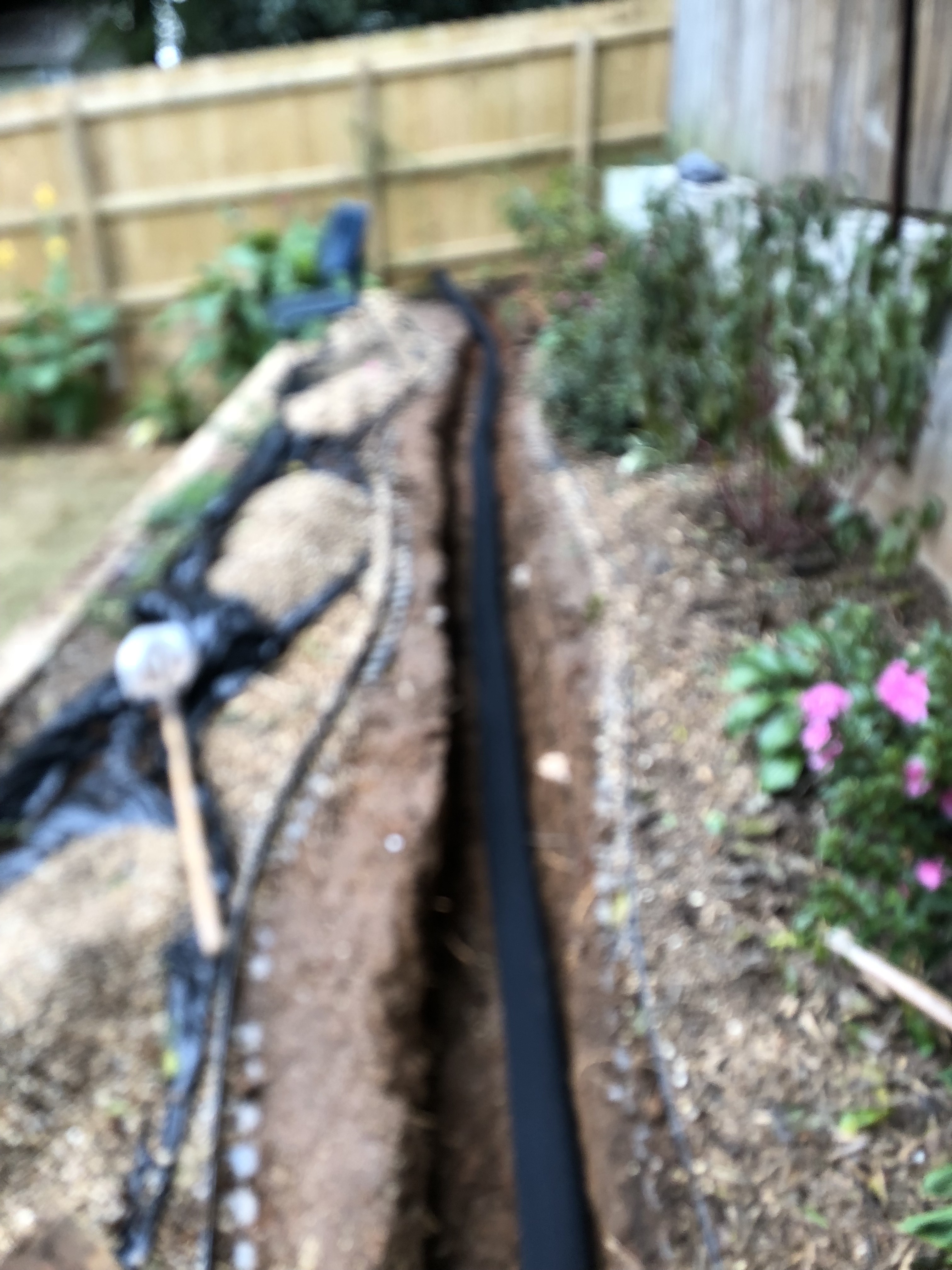 43858a67-3a66-4ca0-8a02-6a752cfe7b0f